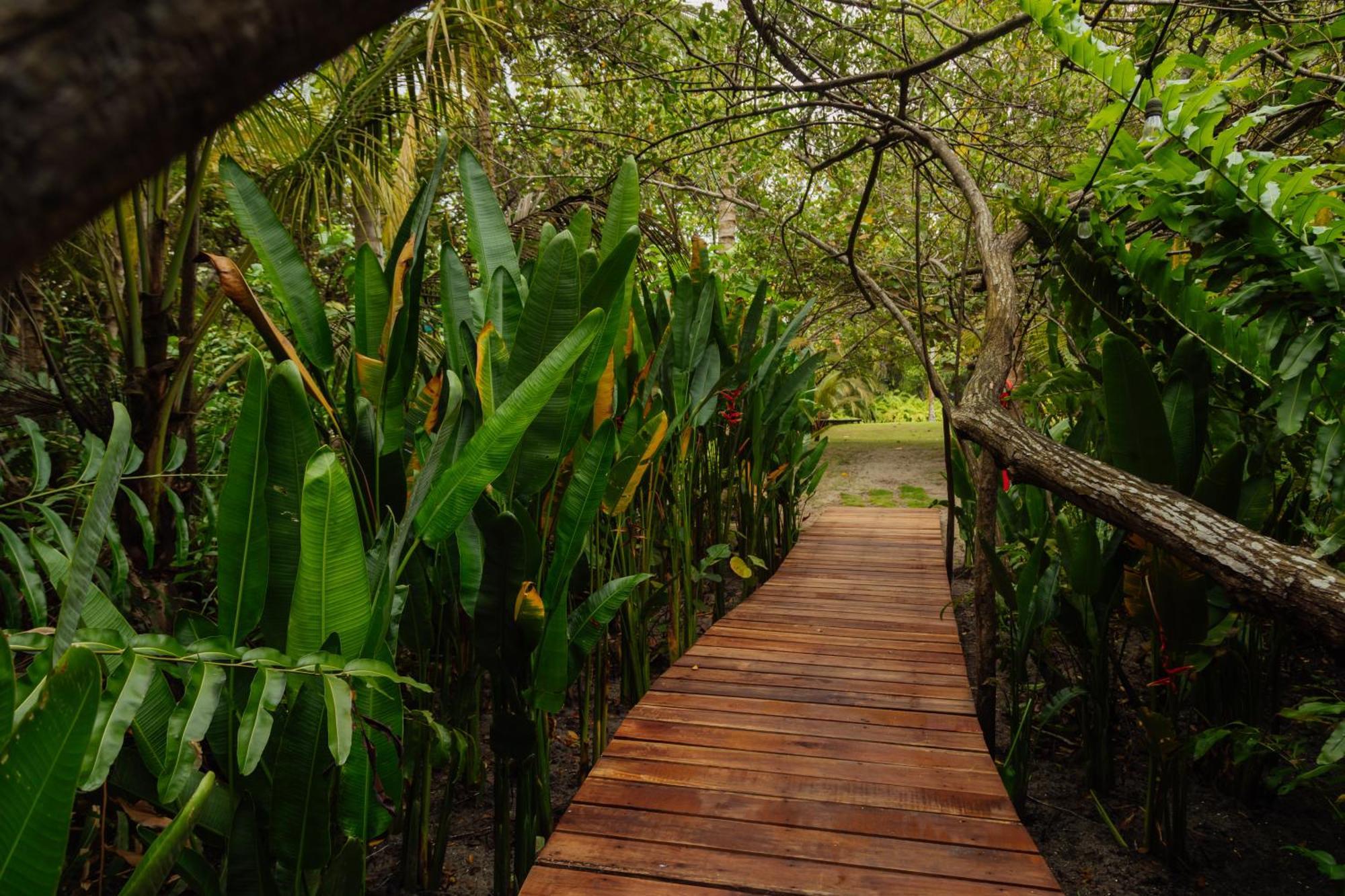 Solea Villa Tropical Santa Marta  Exteriér fotografie