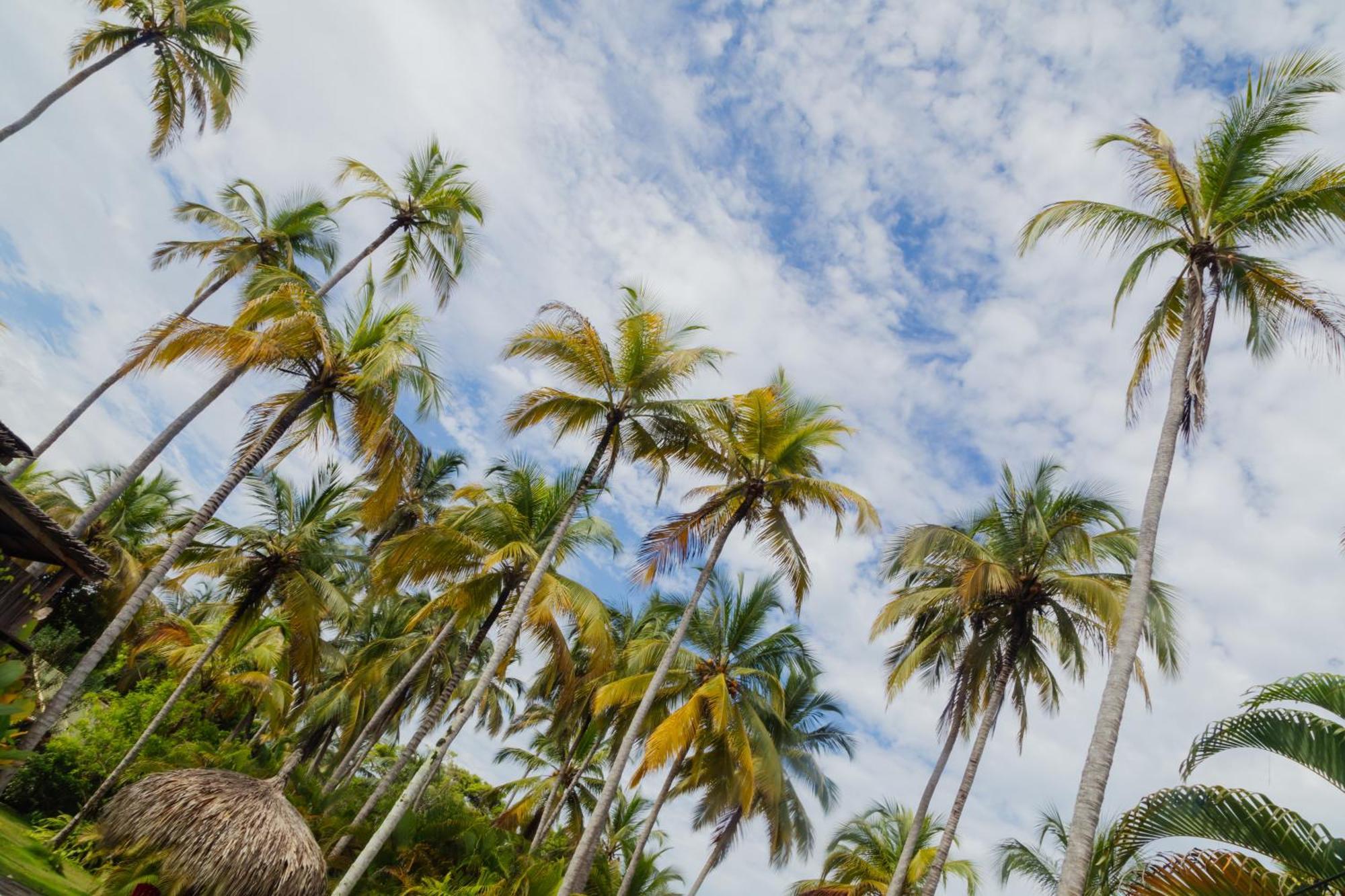 Solea Villa Tropical Santa Marta  Exteriér fotografie