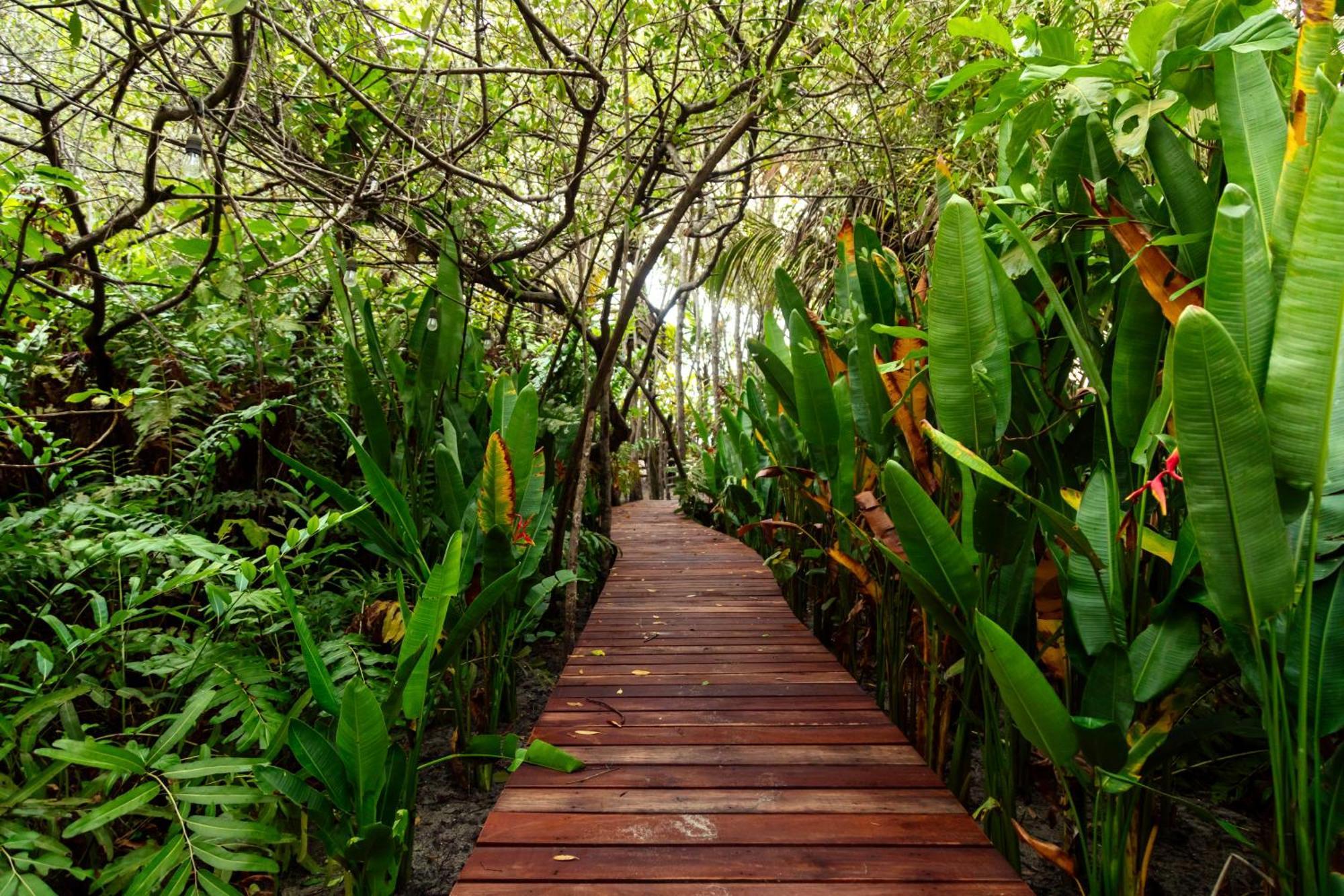 Solea Villa Tropical Santa Marta  Exteriér fotografie